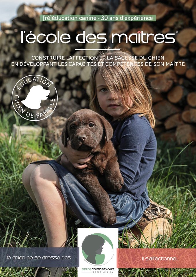 L'école des maîtres - Entre chien et vous